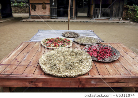 韓國民俗村步行 66311074