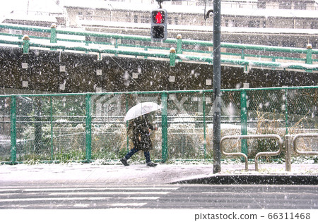Tokyo Japan heavy snow, people is holding camera and walk through snow 66311468