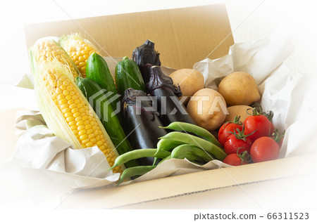 各種夏季蔬菜簽約農戶上門交付的蔬菜收穫夏季蔬菜 66311523
