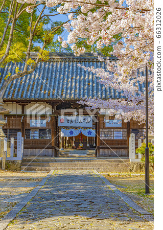 大阪高atsu春上野宮天滿宮 66312026