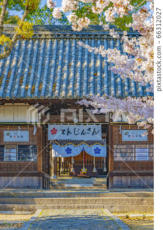 大阪高atsu春上野宮天滿宮 66312027