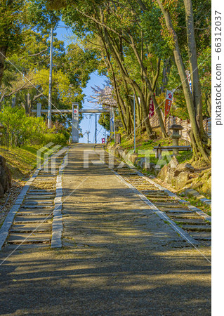 Osaka Takatsuki Spring Uenomiya Tenmangu 66312037