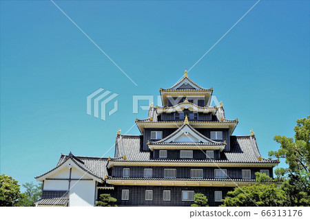 新鮮的綠色岡山城堡 66313176