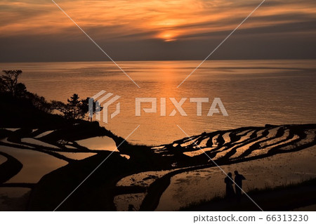 Evening white rice 1,000 pieces Evening white rice 1,000 pieces 66313230