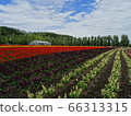 富田農場2 66313315