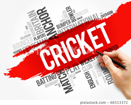 Cricket word cloud collage, sport concept Cricket word cloud collage, sport concept 66313372