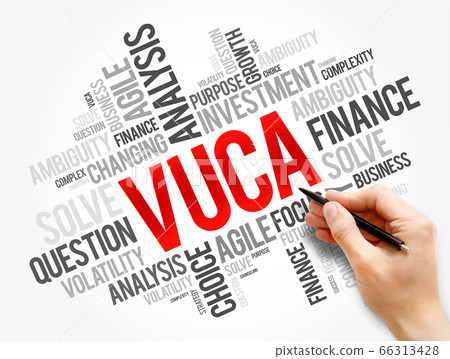VUCA  word cloud, business concept background 66313428