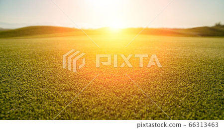 background of green grass background of green grass 66313463