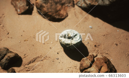 old football ball on the sand beach old football ball on the sand beach 66313603