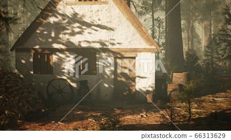 old wooden house in the autumn forest 66313629