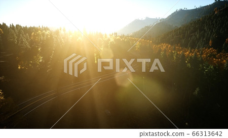 Aerial Drone View Flight over pine tree forest in - Stock Illustration ...