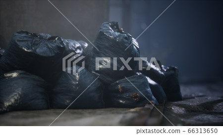 Garbage bags at city street an night 66313650