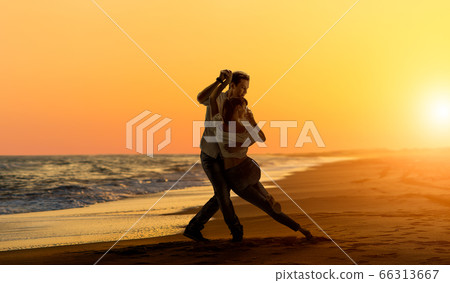 lover couple dancing social dance ( lover couple dancing social dance ( 66313667