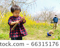 Infant boys playing in the rape field 66315176