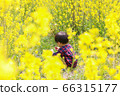 Infant boys playing in the rape field 66315177