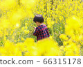 Infant boys playing in the rape field 66315178