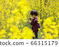 Infant boys playing in the rape field 66315179