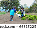 Parent-child parent-child infant working in the field 66315225