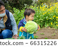 Parent-child parent-child infant working in the field 66315226