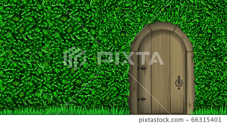 Background vintage wall ivy and wicket 66315401