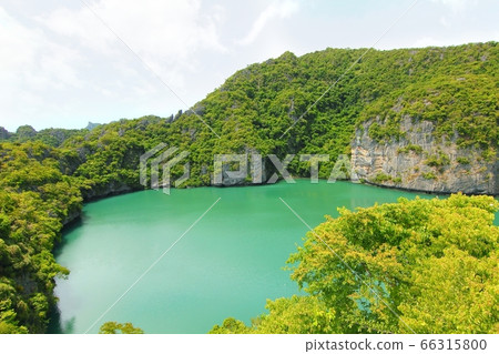 Paradise island. Koh Samui, Thailand Paradise island. Koh Samui, Thailand 66315800