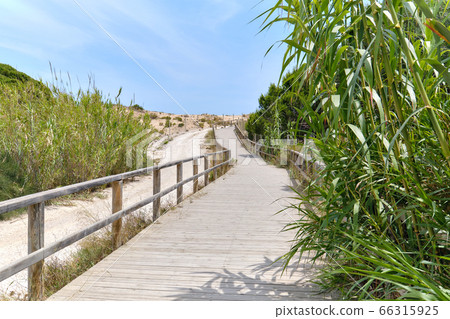 Wooden empty boardwalk 66315925