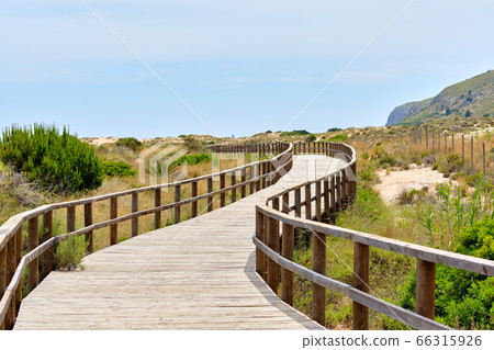 Wooden empty board walk leading through sandy 66315926