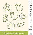 doodle apple set isolated on white background. Vector 66316102