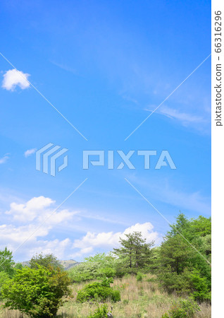 高博奇高原初夏 高博奇高原初夏 66316296