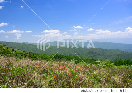 High Bocchi Plateau in early summer High Bocchi Plateau in early summer 66316314