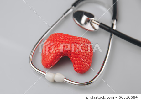 Thyroid treatment concept. Red gland with stethoscope on the table. 66316684
