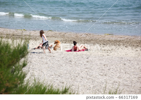 Pomorie, Bulgaria - June 07, 2020 Pomorie, Bulgaria - June 07, 2020 66317169