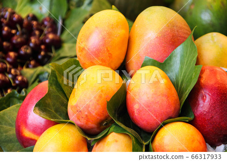 Fresh mango fruits at market Fresh mango fruits at market 66317933