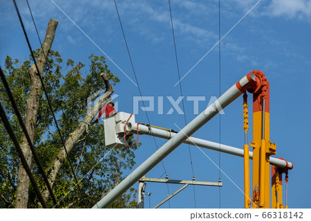 A man in the aerial platform pruning branches of A man in the aerial platform pruning branches of 66318142