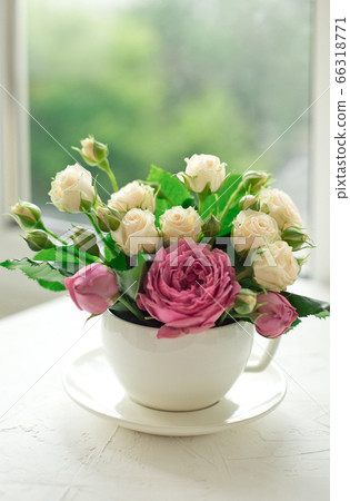 A bouquet of white roses in a cup on a white table opposite the window A bouquet of white roses in a cup on a white table opposite the window 66318771