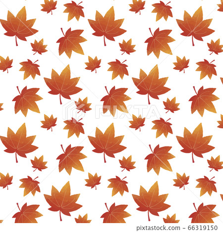楓葉圖案1白色背景 66319150