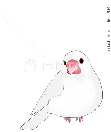Sentencebird Sentencebird 66319345