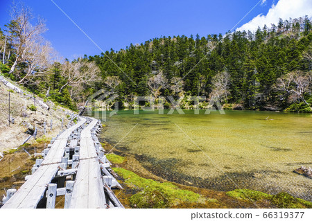 木棧道和Midagaike 木棧道和Midagaike 66319377