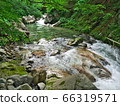 Refreshing summer mountain stream image 66319571