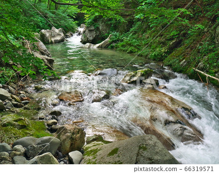 清新的夏日山間溪流圖像 66319571