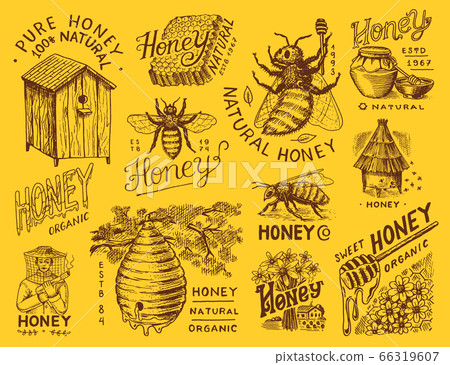 Honey and bees set. Beekeeper man and Honeycombs and hive and apiary. Vintage logo for typography Honey and bees set. Beekeeper man and Honeycombs and hive and apiary. Vintage logo for typography 66319607