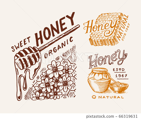 Honey and honeycombs, bee labels. Vintage logo for typography, shop or signboards. Badge for t Honey and honeycombs, bee labels. Vintage logo for typography, shop or signboards. Badge for t 66319631