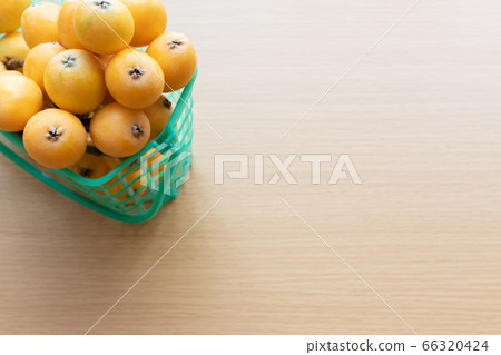 Loquat Loquat 66320424