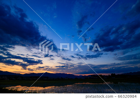 Sunset reflecting in rice fields June rural landscape Akita Prefecture Sunset reflecting in rice fields June rural landscape Akita Prefecture 66320984