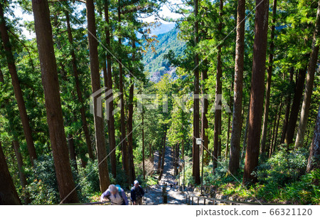 Minobuyama Kuonji, 287 stone steps, from the top of Bodhidai (Minobu-cho, Minamikoma-gun, Yamanashi) 66321120