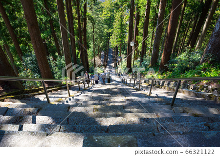 Minobuyama Kuonji, 287 stone steps, from the top of Bodhidai (Minobu-cho, Minamikoma-gun, Yamanashi) 66321122