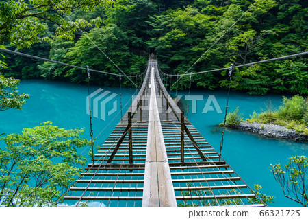 Shizuoka Prefecture Tsumugi Gora Dream Suspension Bridge 66321725