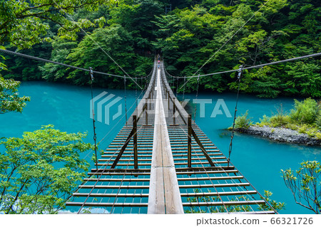 靜岡縣Tsumugi Gora Dream吊橋 靜岡縣Tsumugi Gora Dream吊橋 66321726