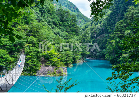 Shizuoka Prefecture Tsumugi Gora Dream Suspension Bridge Shizuoka Prefecture Tsumugi Gora Dream Suspension Bridge 66321737