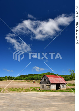 拍攝初夏北海道淺澤的一個紅色小屋工作小屋和馬鈴薯田地景觀 拍攝初夏北海道淺澤的一個紅色小屋工作小屋和馬鈴薯田地景觀 66321816
